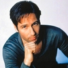 David Duchovny Denies Affair